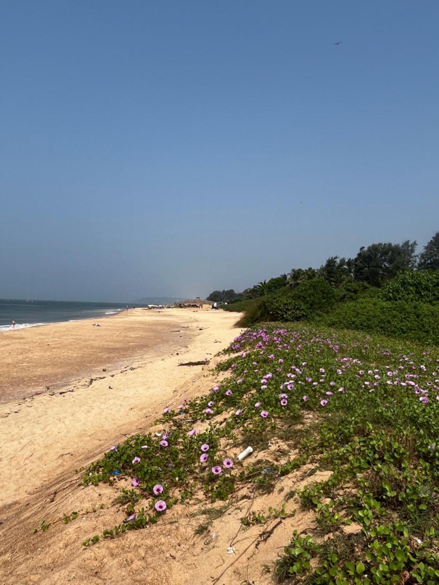 Coco Inn Goa Candolim Exterior photo