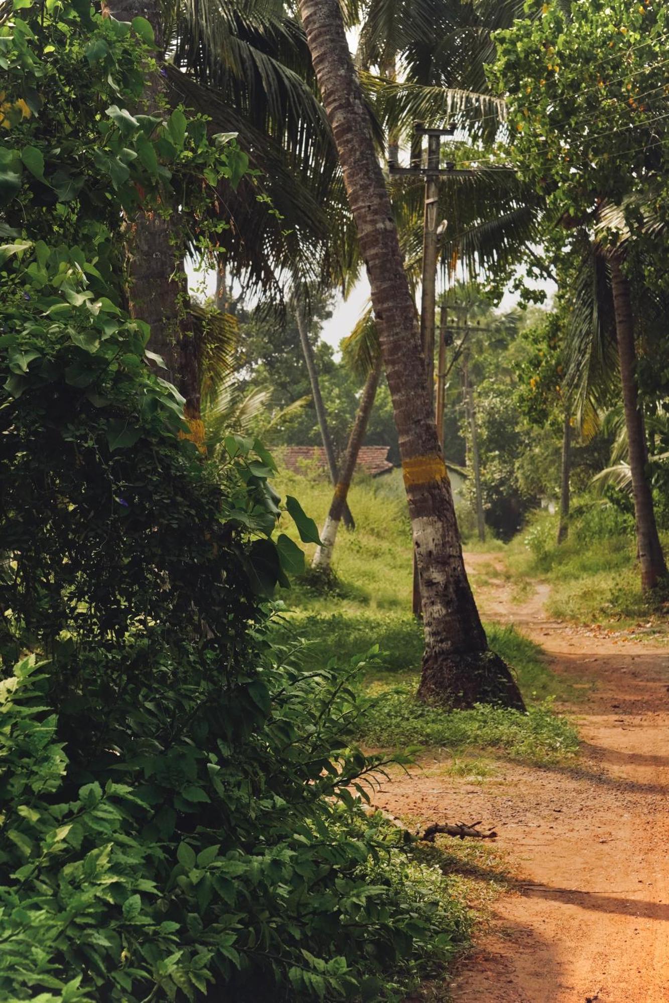Coco Inn Goa Candolim Exterior photo